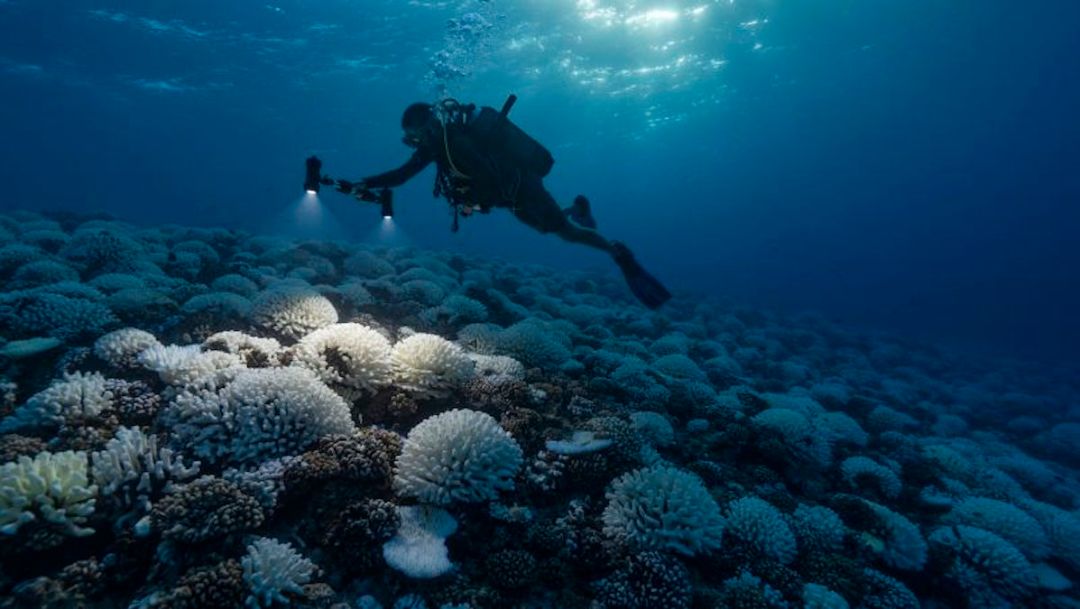 Los océanos alcanzaron su temperatura más alta registrada mientras El Niño se acerca. Aquí hay 6 cosas a tener en cuenta / CNN