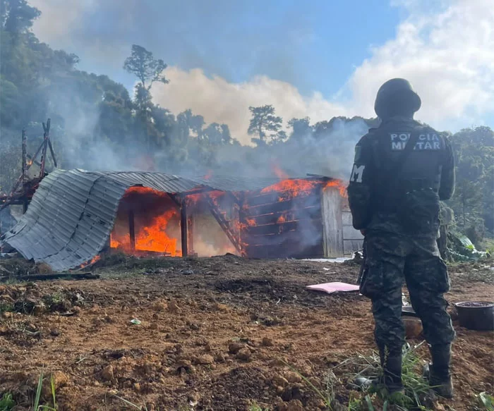 Incineran plantación de droga y narcolaboratorio en Patuca, Olancho / HONDUSA-TV