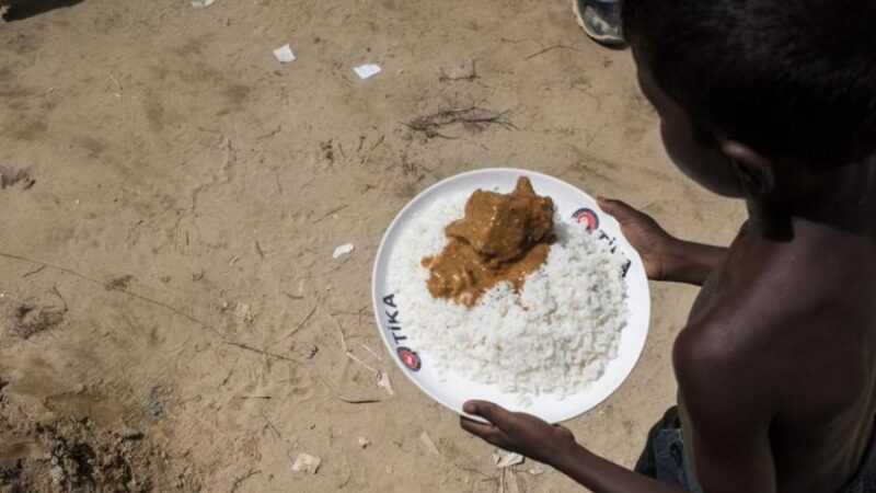 Más de dos millones de hondureños sufren inseguridad alimentaria, señala representante del PMA / Paradigma