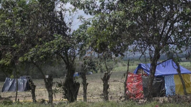 Unas 25 mil hectáreas de tierra productiva han sido invadidas en el territorio nacional / Paradigma