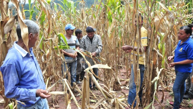 L.5 mil millones se necesitará para atender municipios afectados por sequía / El País