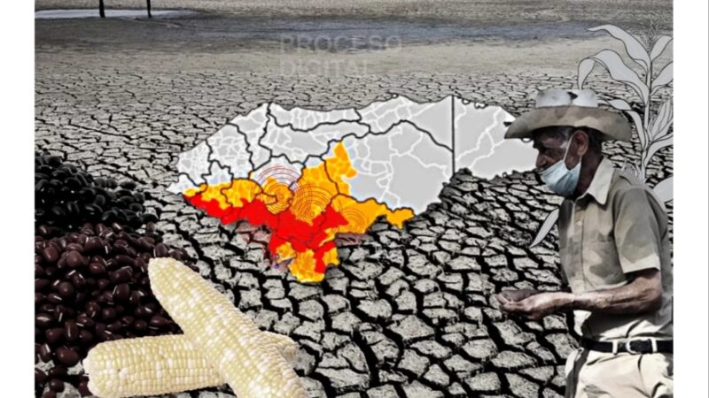 Honduras enfrenta alertas por “El Niño” e inundaciones que golpearán cultivos / Proceso Digital