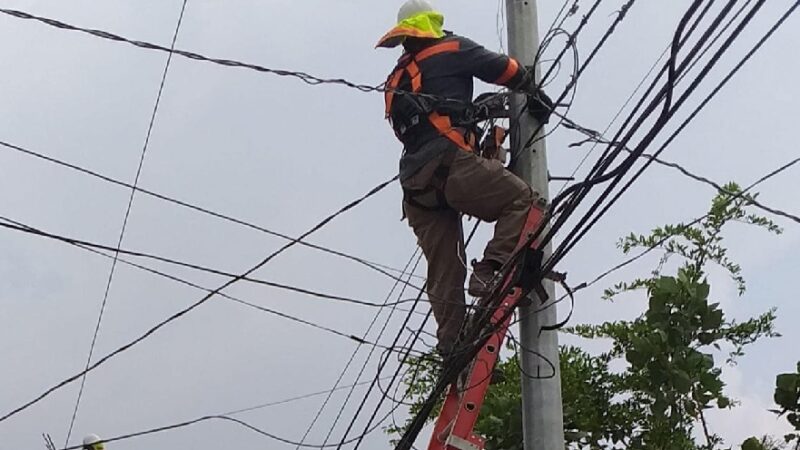 En agosto espera la ENEE asumir la responsabilidad del mantenimiento y operación de la red de distribución / Proceso Digital