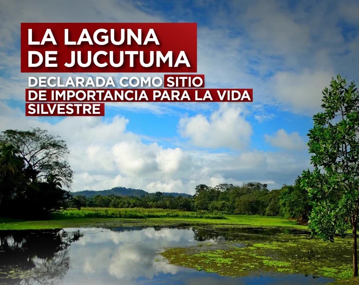 El ICF de Honduras declara a la Laguna de Jucutuma como «Área Protegida de Importancia Para la Vida Silvestre»