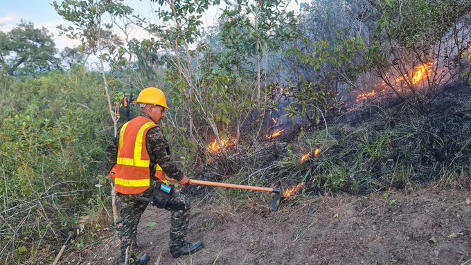 Comando de Protección del Bosque C-9 controló incendio forestal en Pinalejo (Santa Bárbara), 300 mil metros cuadrados fueron afectados