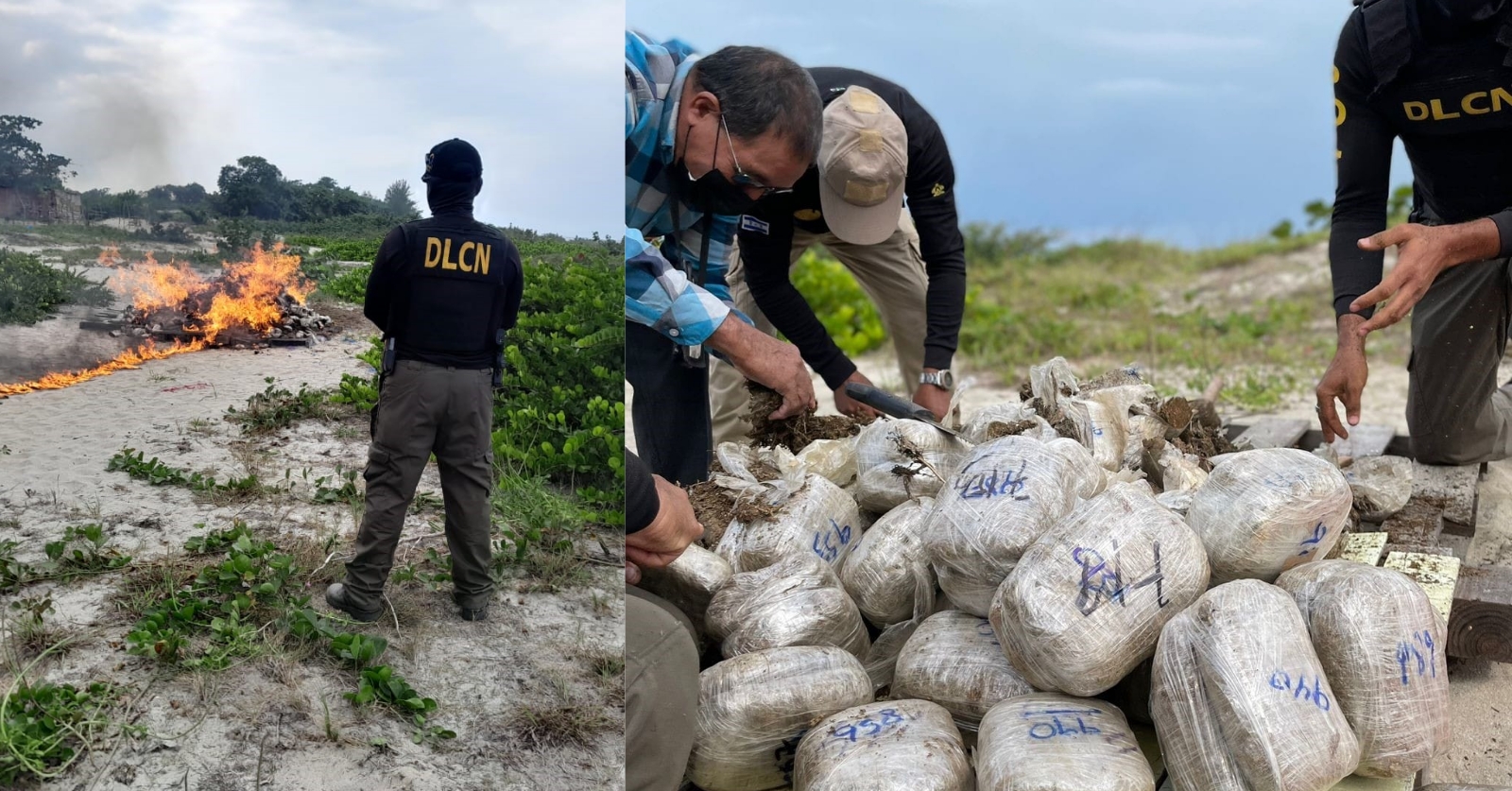 Ministerio Público y fuerzas de seguridad del Estado de Honduras incineran más de 1500 libras de marihuana en La Ceiba