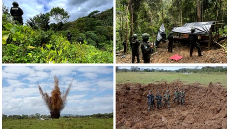 Secretaría de Defensa y Fuerzas Armadas de Honduras incautan 21 mil arbustos de coca y destruyen narcopista en Colón