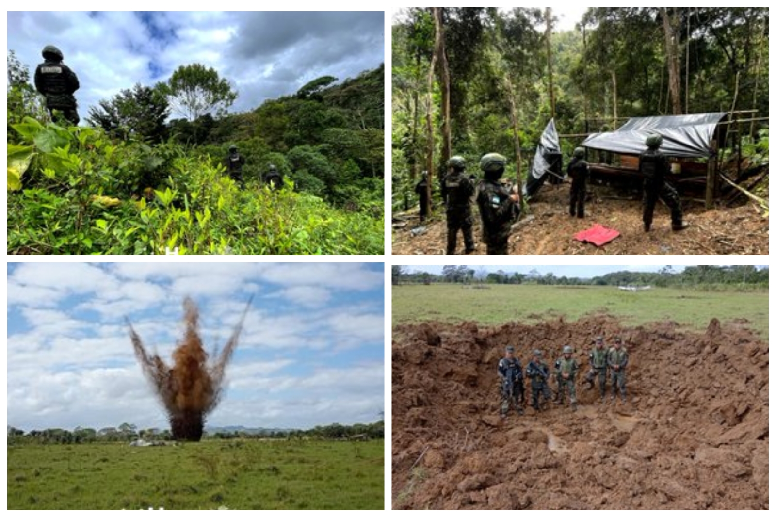 Secretaría de Defensa y Fuerzas Armadas de Honduras incautan 21 mil arbustos de coca y destruyen narcopista en Colón