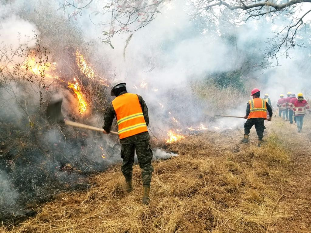 Los incendios forestales en Honduras han dejado un nefasto saldo en lo que va del año, afectando un total de 63,433 hectáreas de bosques y áreas naturales